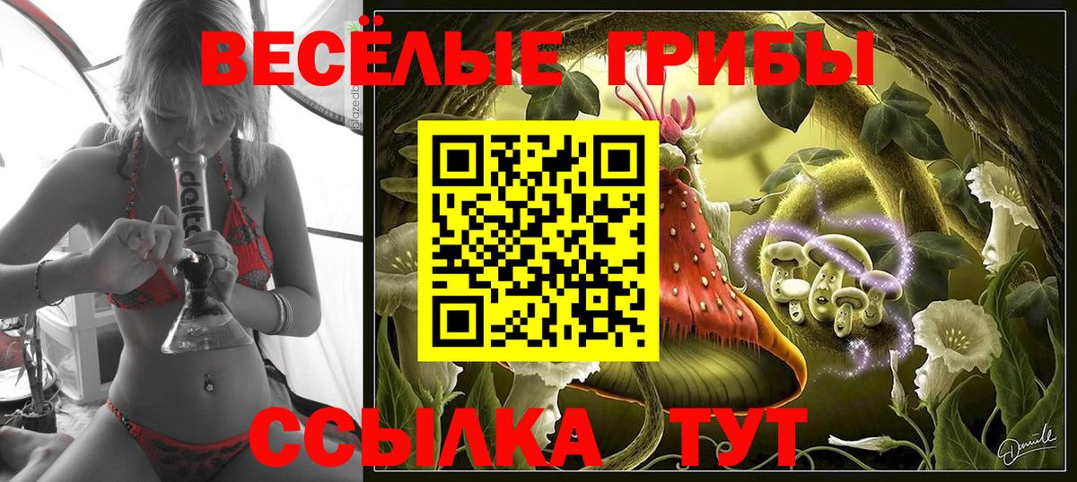 Псилоцибиновые грибы мухоморы  Вход с VPN  где можно купить наркотик  Вышний Волочёк 